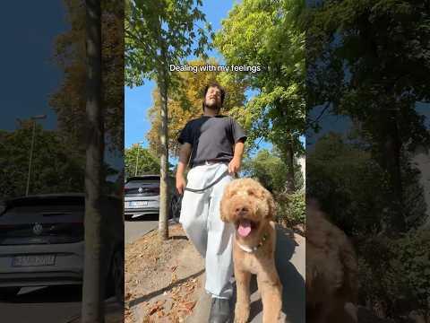 Love my entourage #camouflage #milkychance #shorts