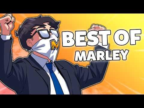 Marley's BEST OF 2025 - Rainbow Six Siege