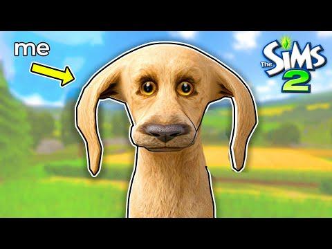 The Sims 2 but I play as a dog