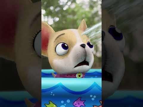 When Avocado Explains Her Bath Time #lucasthespider #friends #cartoons