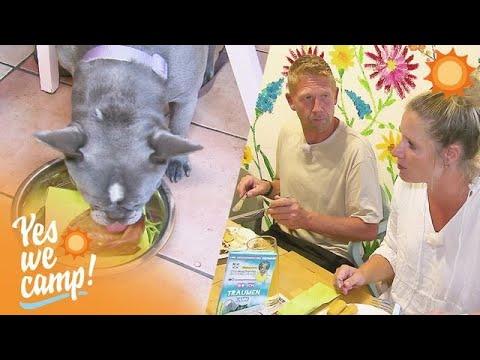 "Zwei Schweineohren bitte!" Hunde müssen NICHT draußen bleiben - im Gegenteil! | Yes We Camp