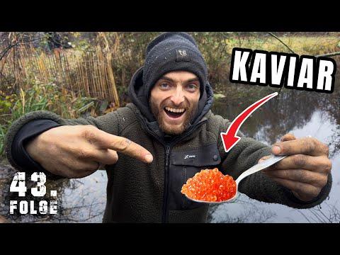 LUXUS in der WILDNIS  | Tag 43/100 autark