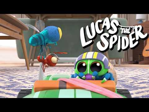 Finding Antsy's Home | Kids Cartoon | Lucas the Spider