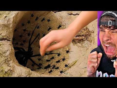 hand in tödliches spinnen loch.. (nicht nachmachen)