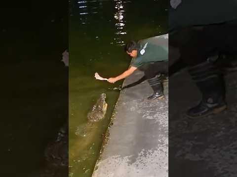 Why Would You THINK Of Doing THIS?!?!