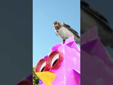 Maizie Distracts a Bird for Lucas the Spider #friends #lucasthespider #kidsvideo