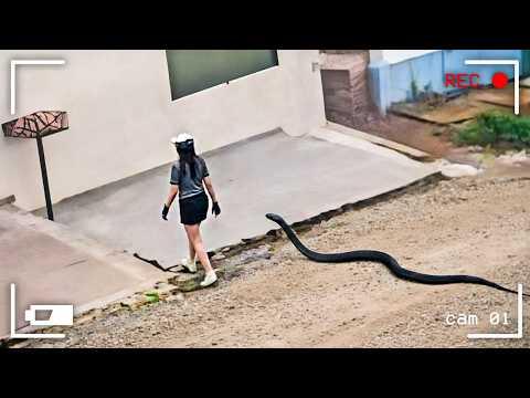 Momente, die kurz vor einer Katastrophe gefilmt wurden