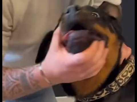 Starting to look through footage for next video