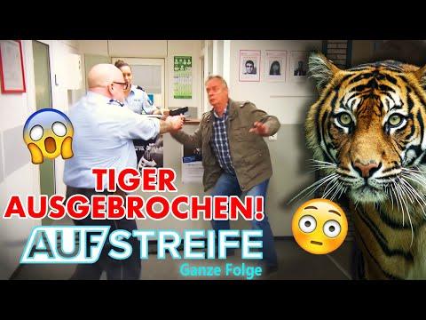 Vom Witz zur Geiselnahme: Wie ein gefälschter Tiger-Alarm eskalierte | Auf Streife-Ganze Folge|SAT.1