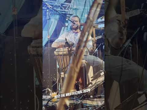 Shot from Into The Wild Festival 2024, UK