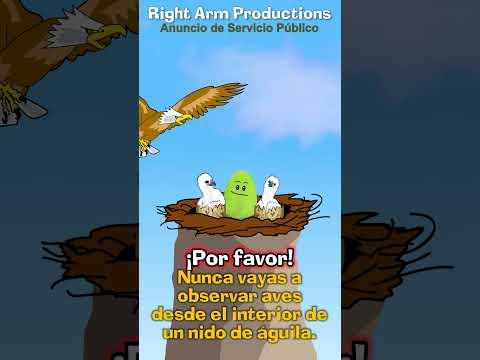 Right Arm Productions Anuncio de Servicio Público Series: 017