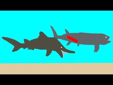 xiphactinus vs edestus