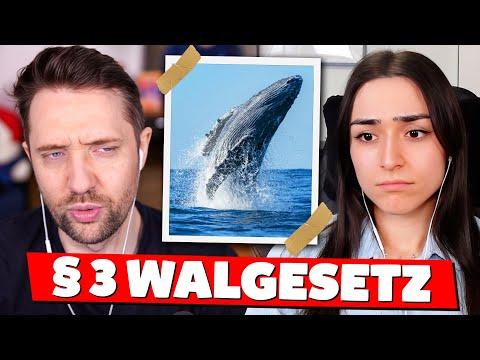§ 3 WALGESETZ - Die Drei Rabauken