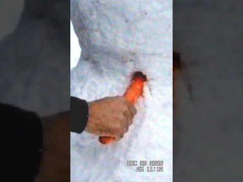 K.I.Z × Mehnersmoos - Morgen kommt der Weihnachtsmann (prod. DM) VFX - @shrimpagne_inc @artefakt.mov