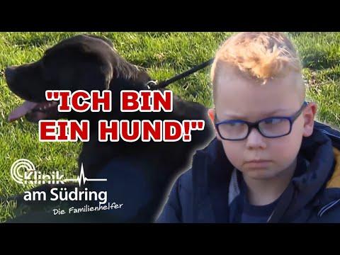 Flucht ins Tierreich? 🐾 Noah will lieber ein Hund sein! | Die Familienhelfer
