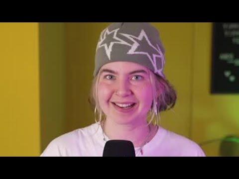 Polarlichter = FAKE?! 🌌😱