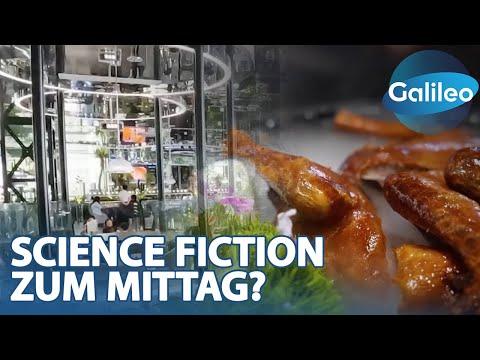 Science Fiction zum Mittag? Die verrücktesten Restaurants in China