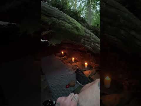 Hotel oder Shelter mitten im Wald? #outdoor #bushcraft #survival