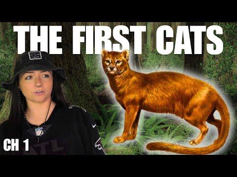 The First Cats (That We Know Of) I Episode 1