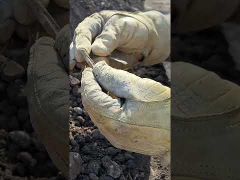 Learning From Ancient Knappers  #flintknapping#archeology #artifacts #arrowhead #history #stonetools