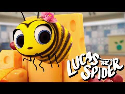 Uh Oh! Maizie's Bee Stinger Is Growing! 🐝 | Kids Cartoon | Lucas the Spider