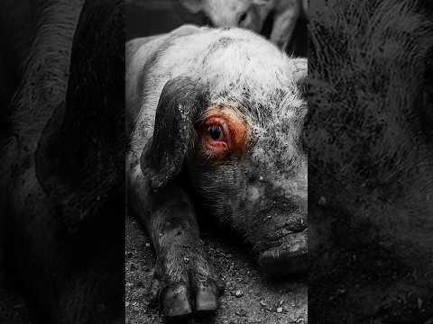 IIIIIIIIIIIIIIIIIIIIIIIIIIIIIIIIIIIIIIIIIIIIIIIII