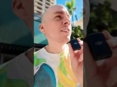 pink hotel? i'm there