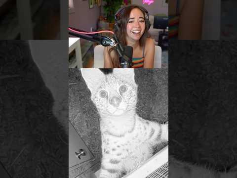 How our new serval is doing! ☺️ #shorts #notapet #alveus