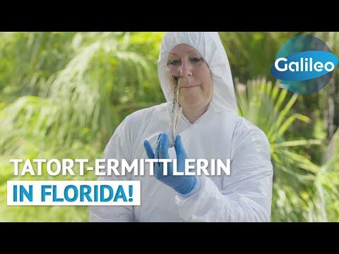 CSI in echt? Auf den SPUREN des Verbrechens mit deutscher Tatortermittlerin in den USA! | Galileo