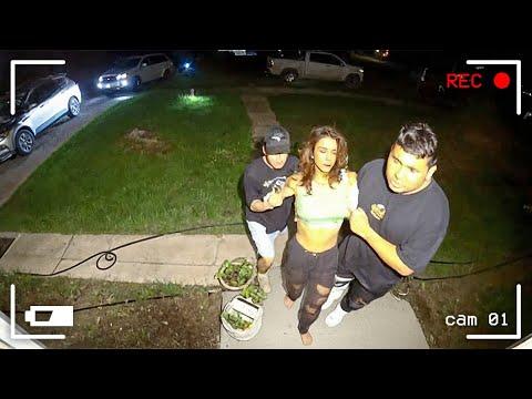 In 4K erfasst! Die lustigsten Pannen von Überwachungskameras