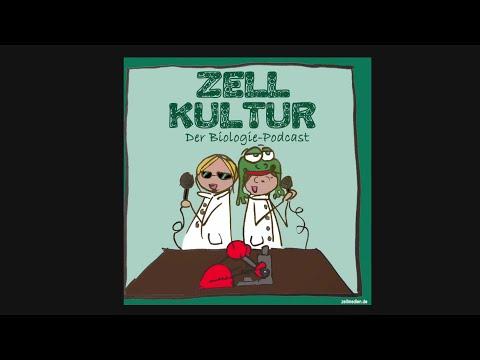 39C3 - Zellkultur
