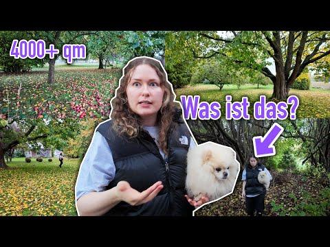 SO GROß ist unser Garten WIRKLICH ..| Sonny Loops