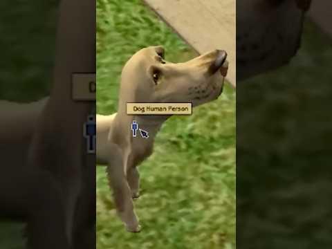 The Sims 2 but I'm a dog