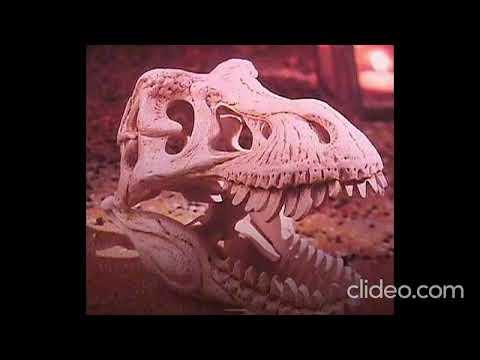 Dinosaur Skull (2025 remake)