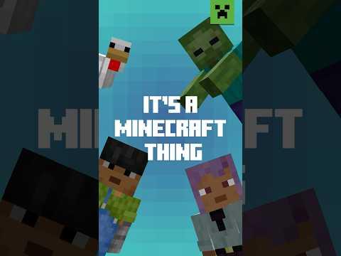 IT’S A MINECRAFT THING