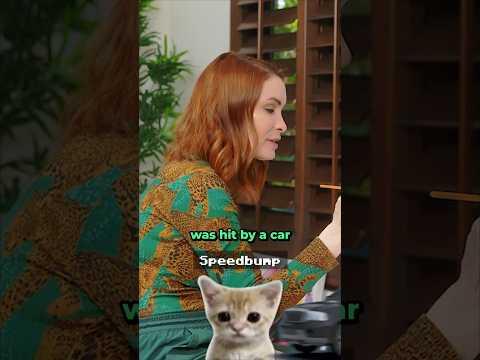 interesting name for a cat...