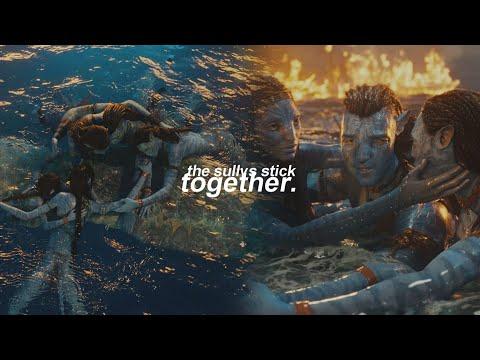 The Sullys Stick Together || Avatar