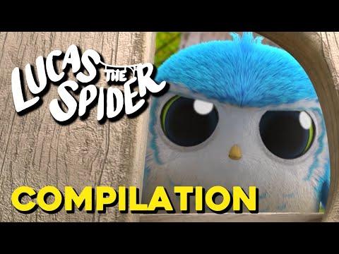 The Most DISASTROUS Arlo Compilation Ever! | Lucas The Spider