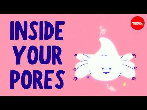 You might be surprised by what you'd find in your pores - M. Alejandra Perotti