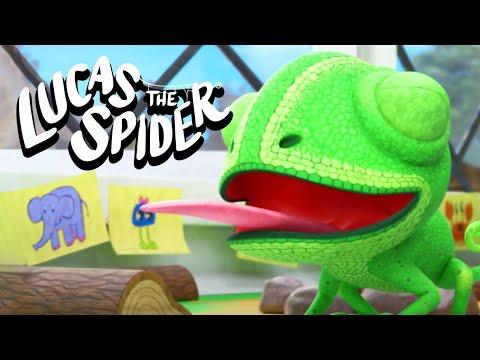 Lucas Helps Bodhi Master Her Tongue Powers! | Lucas The Spider
