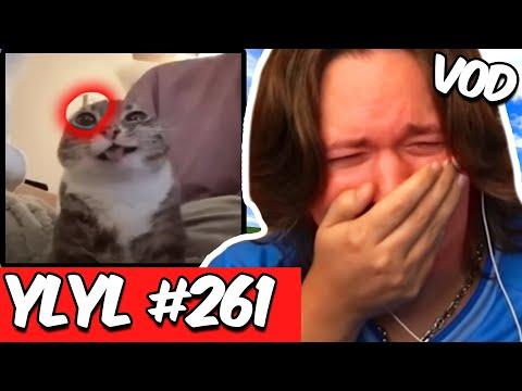 If I Laugh, The Video Ends WITH EYETRACKER #261 FULL VOD!