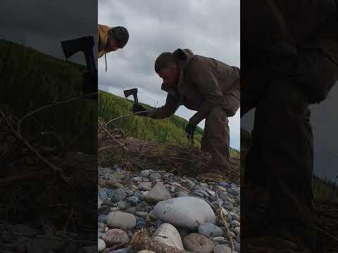 Das große Floß bauen beginnt