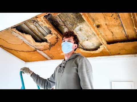 Ein gefährlicher Fund für die Gesundheit | Schweizer Steinhaus Renovierung