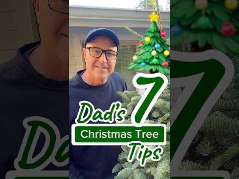 Dad’s 7 Essential Christmas Tree Tips
