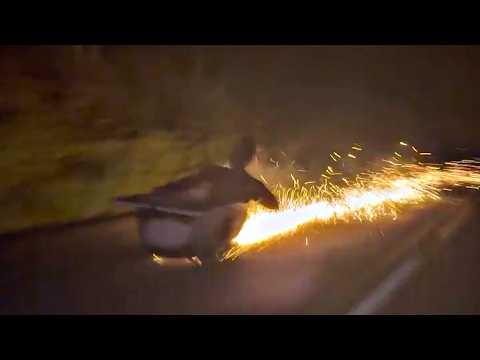 UNUSUAL MEMES COMPILATION V346