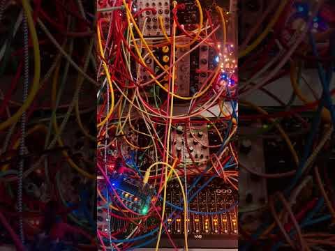 love this thing! #shaban #noiseengineering #morphor #devision6