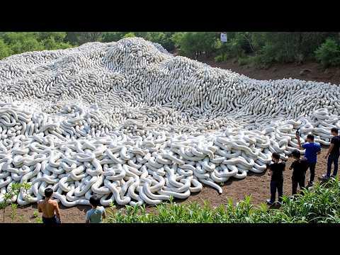 1 in einer Billion Momente in der Natur