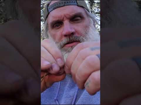 Primitive Bow Build and Shoot #survival #archery #bow #primitiveskills #outdoorskills #wilderness