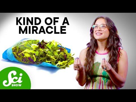 Bagged Salad Shouldn’t Exist