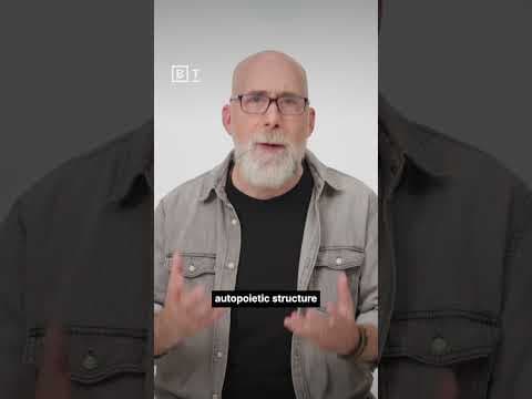 Why AI feels alive | Adam Frank
